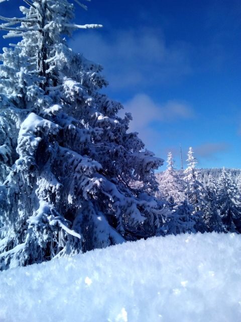 Fichtelgebirge: snowshoe hike - Who Should Consider This Tour?