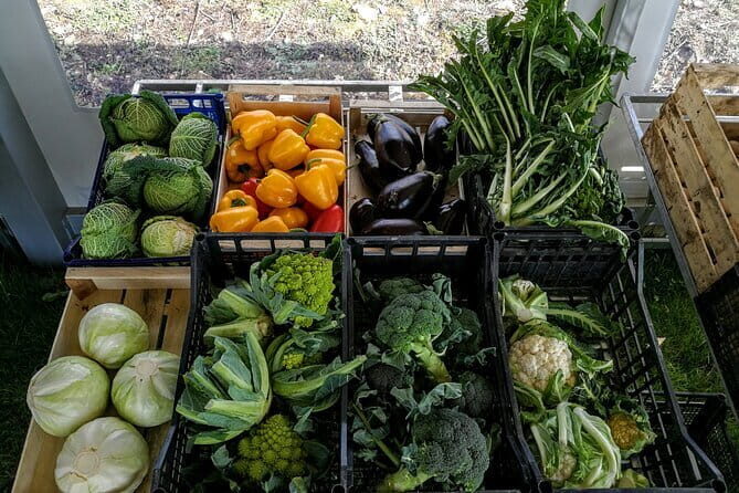 Fiesole: Tuscan Countryside Half Day E-Bike Tour & Farm visit - Practical Considerations and Tips