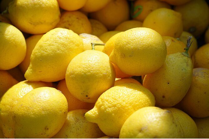 Fifty Shades of Lemon - What’s Included and Why It Matters