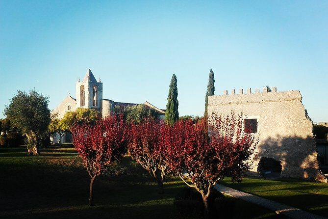 Figueira da Foz by rice paddies and salines, half-day from Coimbra - FAQs