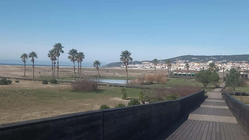Figueira da Foz: Guided Walking Tour - Parks, Palaces, and the Beach Oasis