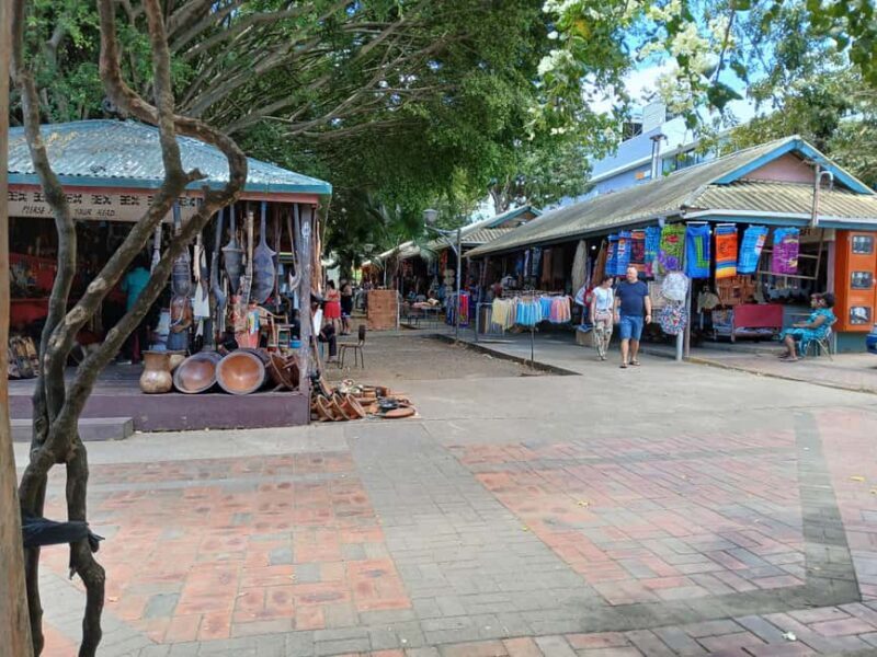 Fiji: Discover Nadi with Sabeto Hotspring and Mudpool Tour - In-Depth Review of the Experience