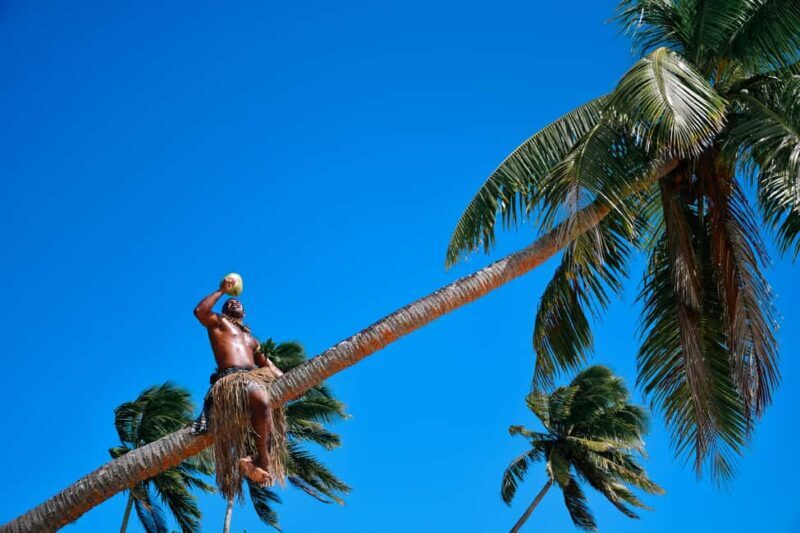 Fiji: Full Day Cultural Island Tour with Lunch & Cruise - Why This Tour Offers Real Value