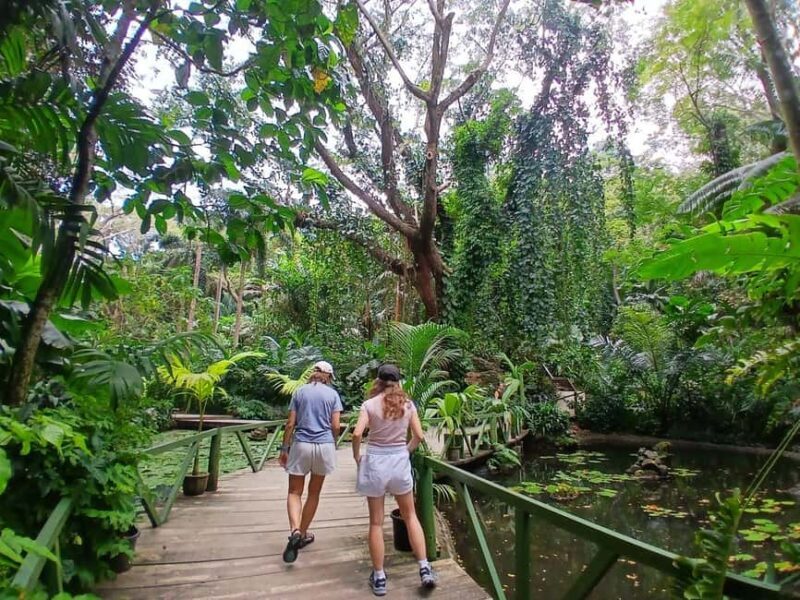FIJI: Garden of the Sleeping Giant - Fiji: Garden of the Sleeping Giant