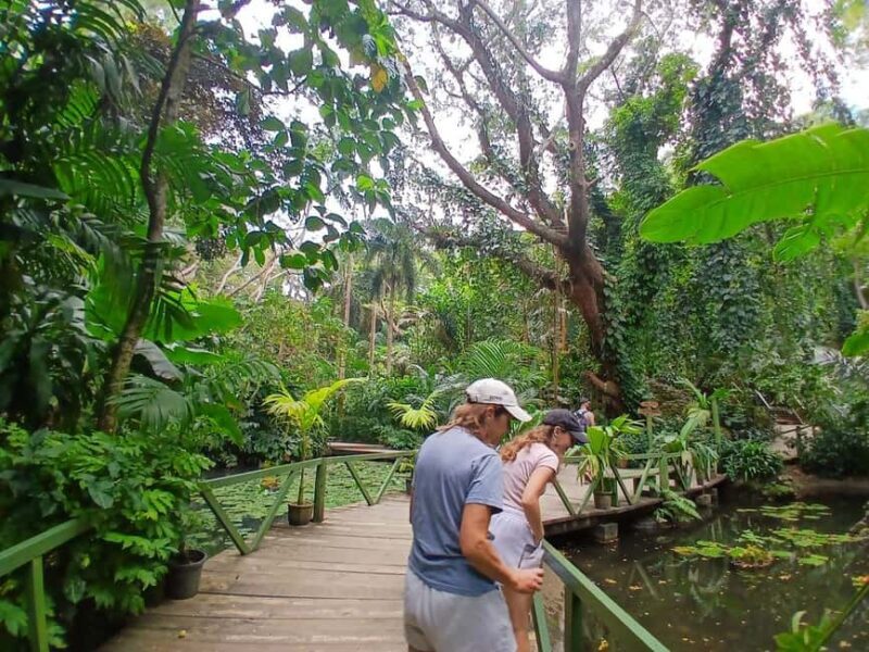 FIJI: Garden of the Sleeping Giant - Who Will Love This Tour?