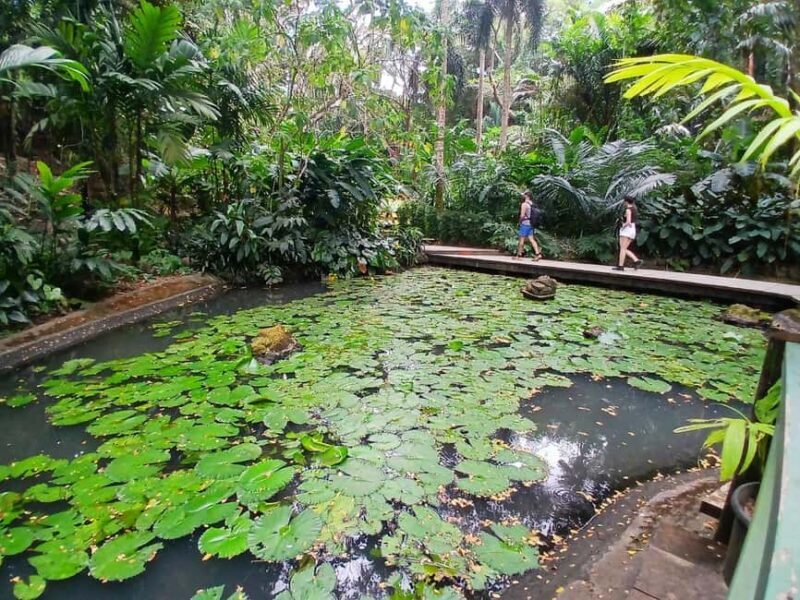 FIJI: Garden of the Sleeping Giant - Final Thoughts