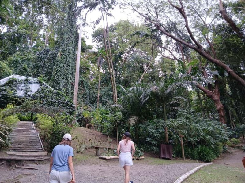 FIJI: Garden of the Sleeping Giant - FAQ