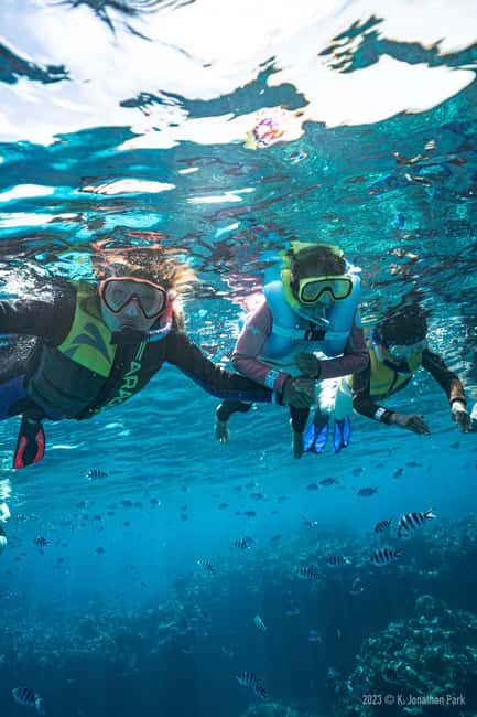 Fiji: Kuata Island Marine Conservation Experience Full Day - Lunch and Relaxation