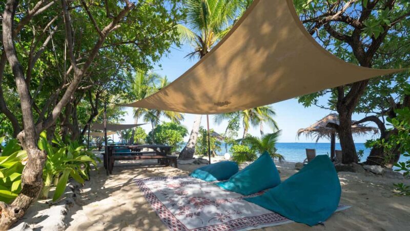 Fiji: South Sea Island Full Day Trip with Lunch & Drinks - The Itinerary Breakdown: What You Can Expect