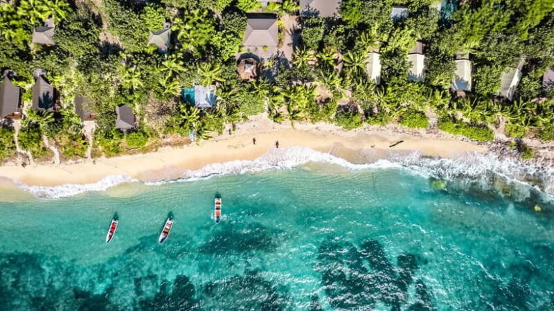 Fiji: Ultimate Encounters Snorkel with Sharks and Lunch - Real Experiences and Honest Feedback