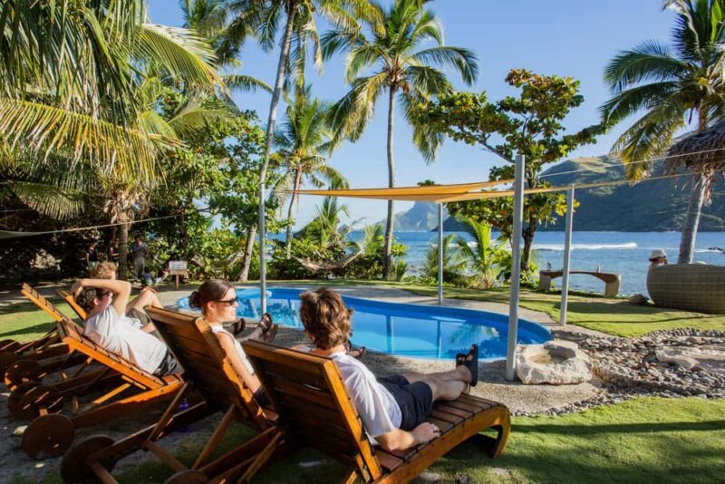 Fiji: Ultimate Encounters Snorkel with Sharks and Lunch - Who Should Consider This Tour?