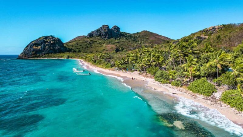 Fiji: Ultimate Encounters Snorkel with Sharks and Lunch - Final Thoughts