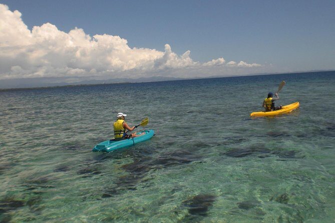 Fijian Islands and Snorkel Full-Day Whales Tale Cruise including Beach BBQ Lunch - An In-Depth Look at the Experience