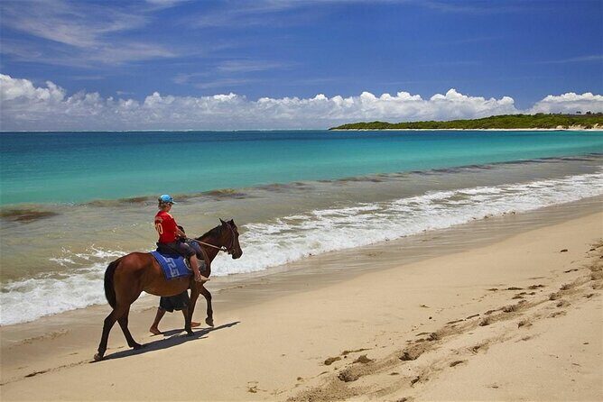 Fijian pottery crafting Village Experience & Natadola Beach Tour - The Sum Up