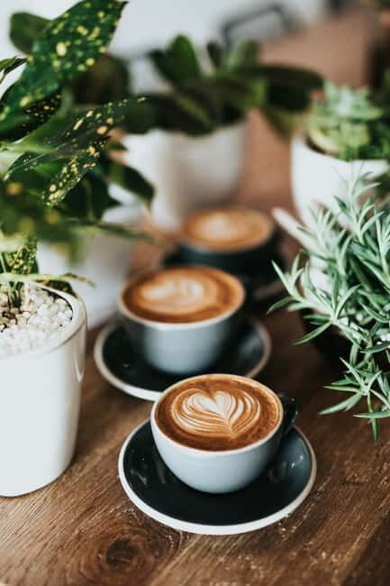 Fika Tour to hideaway cafés - A Genuine Look at the Fika Tour in Stockholm