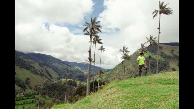 Filandia, Salento and Cocora Valley Tour - Key Points