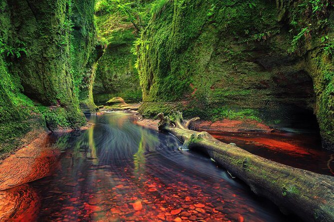 Find a hidden Glen in Scotland's woods - Exploring the Hidden Beauty of Finnich Glen: A Small-Group Adventure from Glasgow