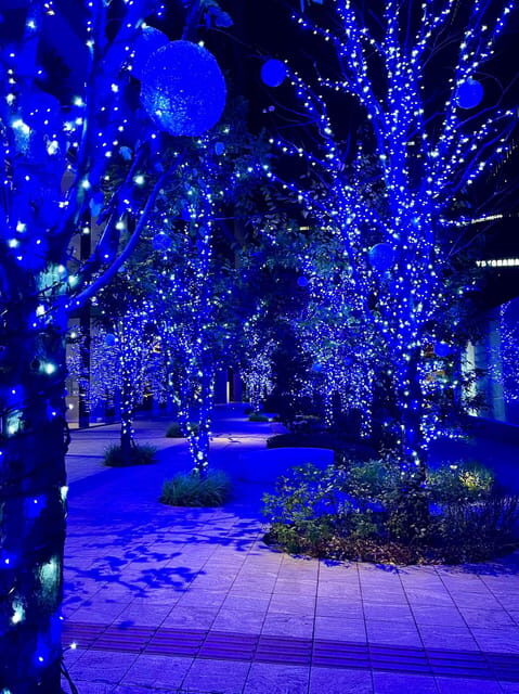 Find Yokohama's Hidden Gem: Walking Tour with Local Guide - Key Points