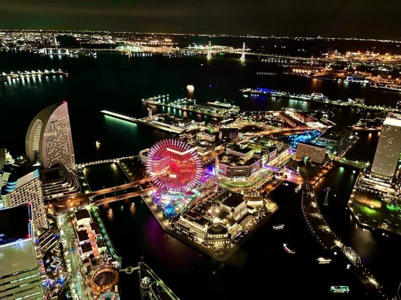 Find Yokohama's Hidden Gem: Walking Tour with Local Guide - Why You Should Consider This Tour