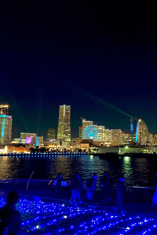 Find Yokohama's Hidden Gem: Walking Tour with Local Guide - FAQs