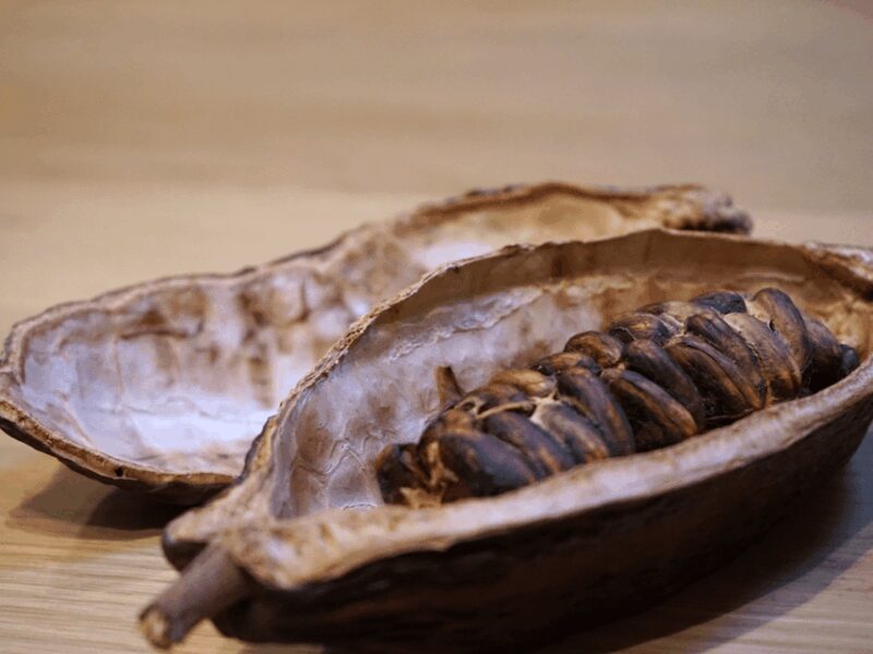 Fine Chocolate Tasting in Turin - Who Should Book This Tour?