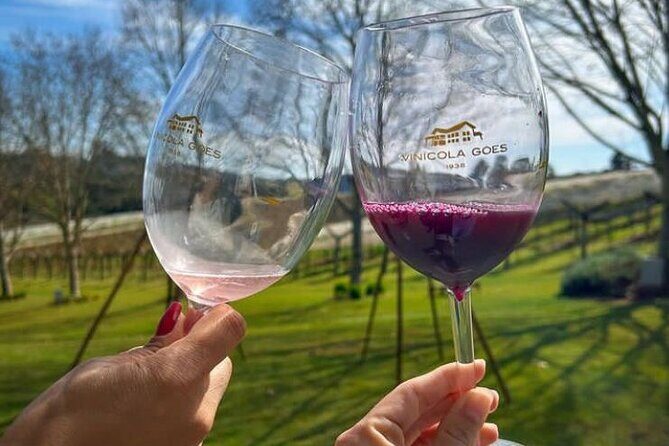 Fine wine tastings in São Roque - Tour with local guides - Key Points