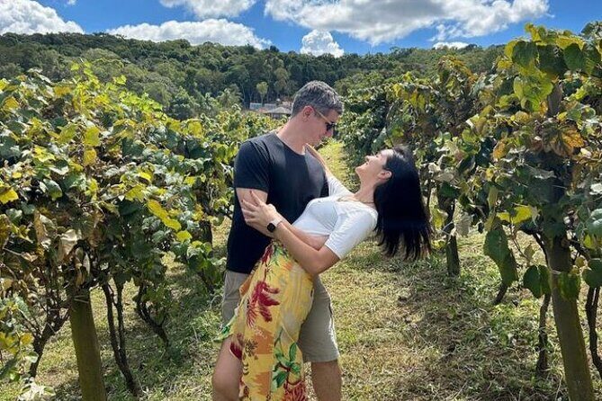 Fine wine tastings in São Roque - Tour with local guides - An In-depth Look at the São Roque Wine Tour