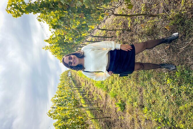 Fine wine tastings in São Roque - Tour with local guides - The Value of a Private, Guided Wine Tour