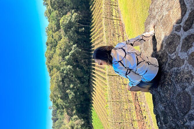 Fine wine tastings in São Roque - Tour with local guides - Final Thoughts