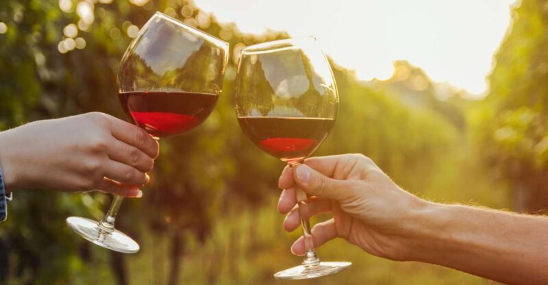 Fine Wining, Saturday - The Sum Up