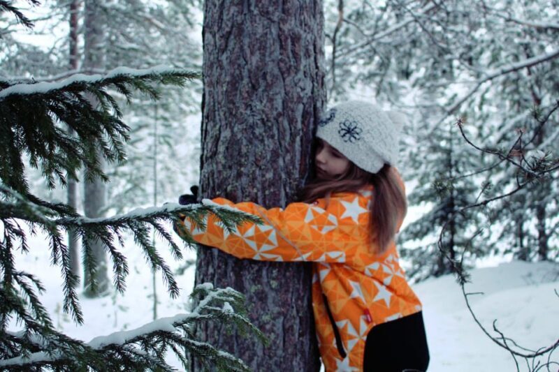 Finland Levi: Arctic Cocooning Experience in HaliPuu Forest - Who Should Consider This Tour?