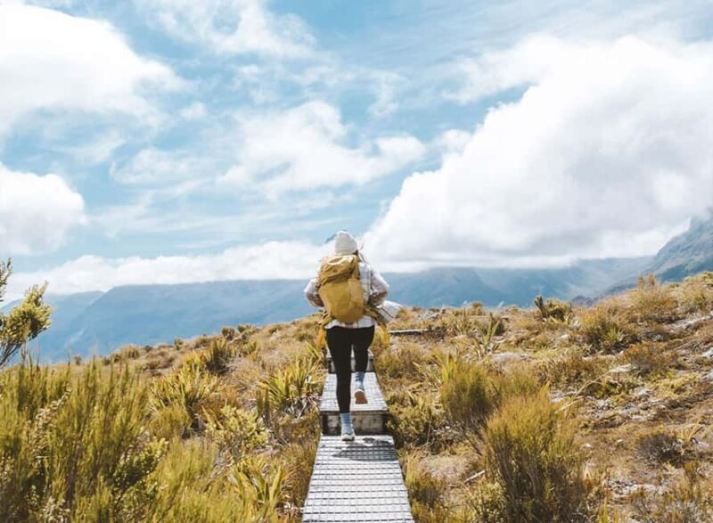 Fiordland: Routeburn Track and Key Summit Guided Day Walk - The Morning Tea and Setting Off