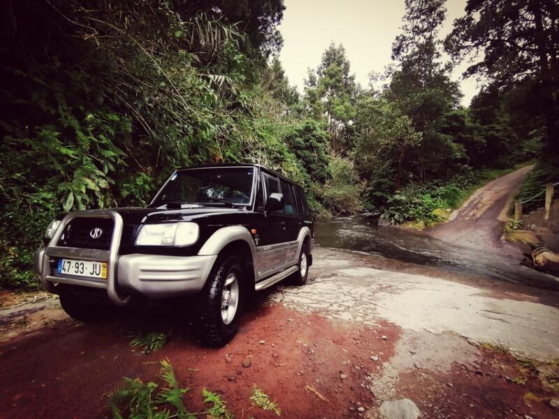 Fire Lake, Pineapple & Tea: Half-Day Jeep Tour - Key Points