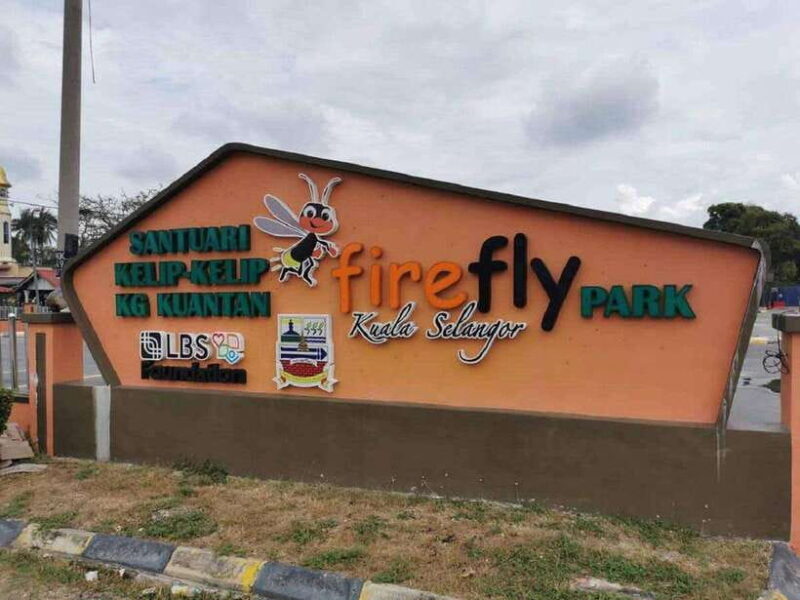 Firefly, Eagle Feeding, and Blue Tears Kuala Selangor Tour - A Closer Look at the Experience