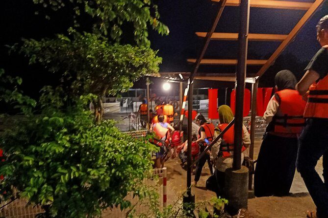 Firefly Tour Johor Bahru@Kota Tinggi Firefly Park - Why This Tour Is Worth Your Time