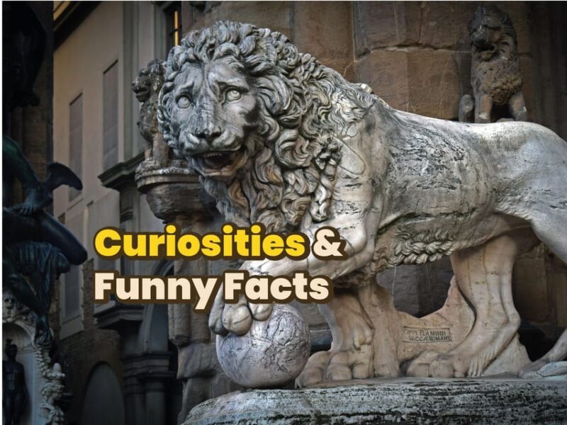 Firenze: Digital Guide made by a Local for your walking tour - FAQ