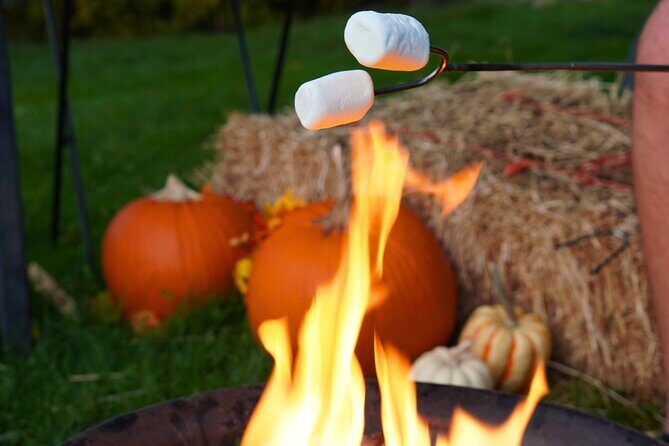 Fireside Warm-Up: Wine Tasting, S'mores & Mulled Wine in Kelowna - Practical Tips for Your Visit