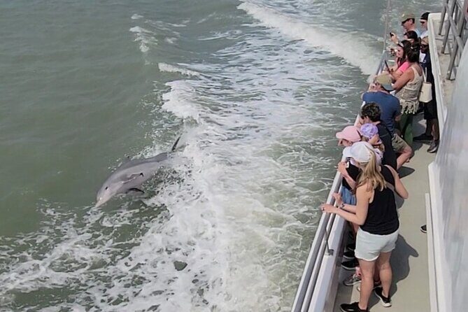 Fireworks Cruise with Dolphin Watch in Laguna Madre Bay - Key Points