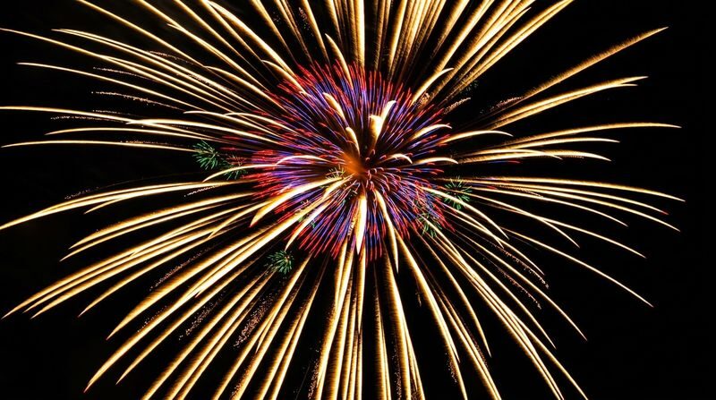 Fireworks Limited Tsuchiura National Fireworks Competition One-Day Tour - From Tokyo to the fireworks grounds