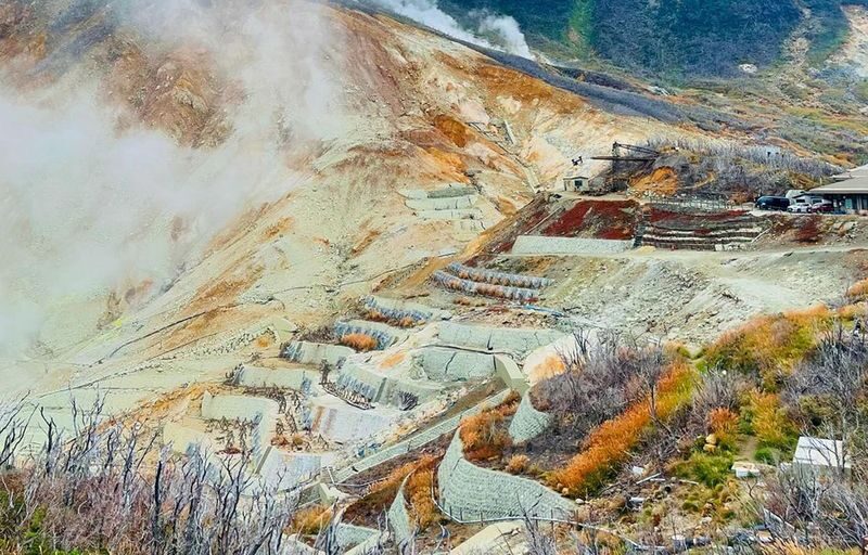 Fireworks Special | Includes Hotel Pickup: Atami Fireworks Festival + Izu Omuroyama or Hakone Lake Ashi Day Trip | Departure from Tokyo - Who should book this day trip?