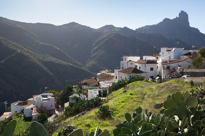 Firgas, Tejeda, Guayadeque - VIP Tour Gran Canaria - Who Would Love This Tour?