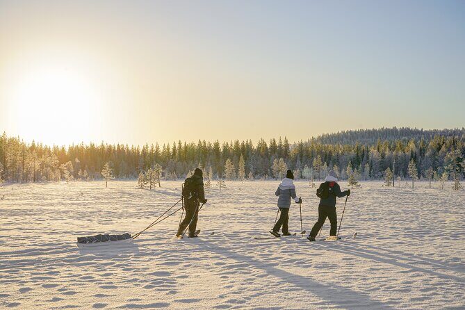 First Arctic Expedition on Altai Skis - Exploring the Arctic on Altai Skis: A Deep Dive