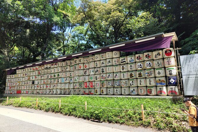 First-Time in Tokyo? Experience the Best with Our Private Tour! - A Comprehensive Look at the Experience