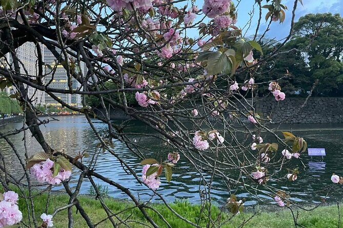 First-Time in Tokyo? Experience the Best with Our Private Tour! - FAQ