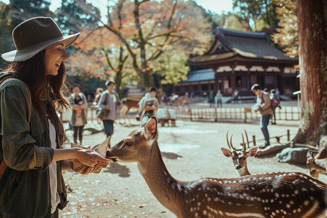 First Time Nara Tour UNESCO Sites with Lunch and Autumn foliage - Final Thoughts