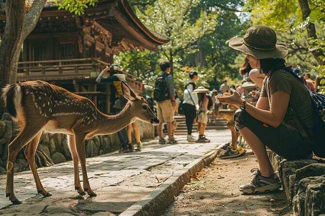 First Time Nara Tour UNESCO Sites with Lunch and Autumn foliage - FAQ