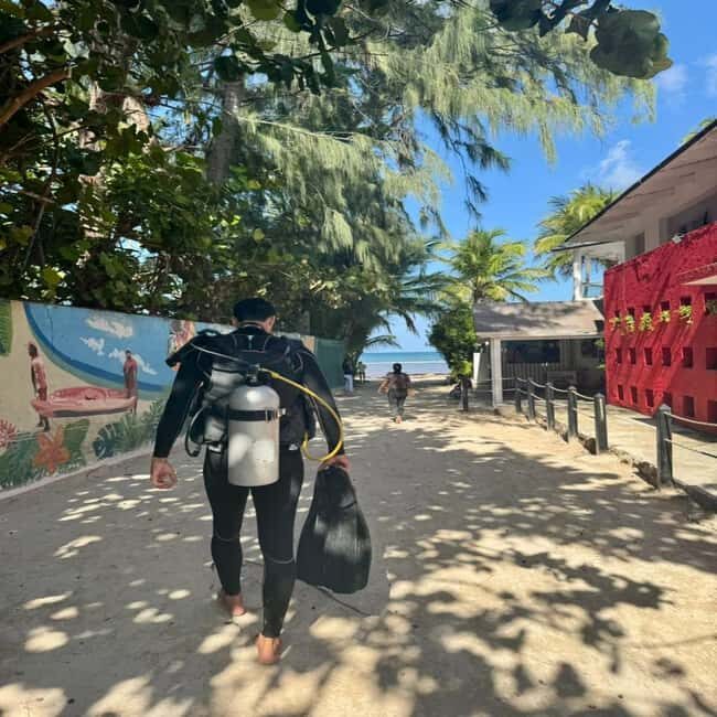 First Time Scuba Diving Experience in Punta Cana - The Experience From a Traveler’s Perspective