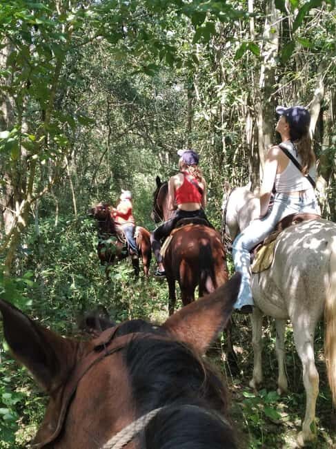 First tour schedule at San Rancho San Manuel - Exploring San Rancho San Manuel: A Deep Dive