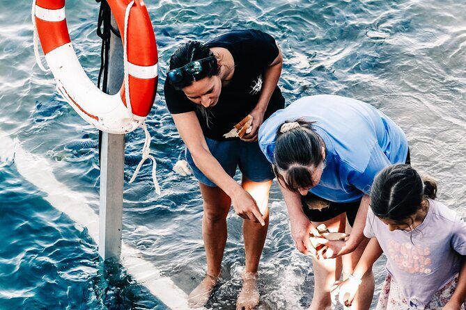 Fish Feeding Activity in Darwin - The Practicalities and Tips