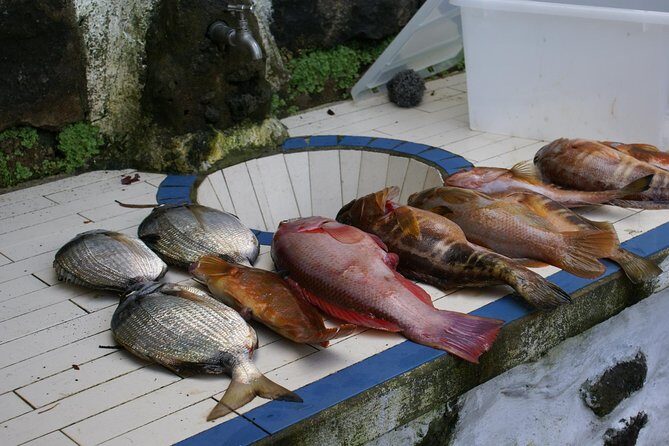Fish In the Azores - Final Note